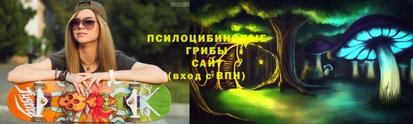 а пвп мука Алзамай