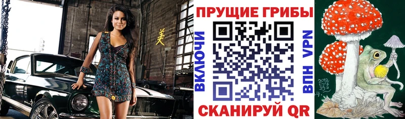 Псилоцибиновые грибы прущие грибы  Удачный 
