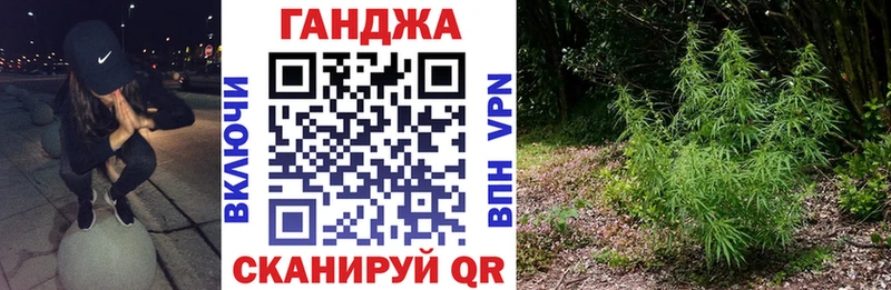 Каннабис планчик  Удачный 